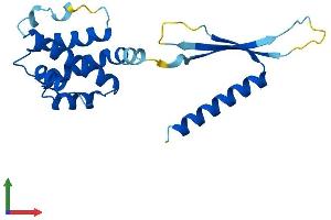 Protein Structure (PS) image for COMM Domain Containing 3 (COMMD3) (AA 1-195) protein (His tag) (ABIN7557797)