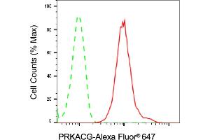 anti-Protein Kinase, CAMP-Dependent, Catalytic, gamma (PRKACG) antibody