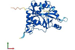 Protein Structure (PS) image for Methylthioadenosine phosphorylase (MTAP) (AA 1-283) protein (His tag) (ABIN7560514)