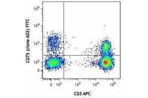 Flow Cytometry (FACS) image for anti-5'-Nucleotidase, Ecto (CD73) (NT5E) antibody (FITC) (ABIN2661419) (CD73 抗体  (FITC))