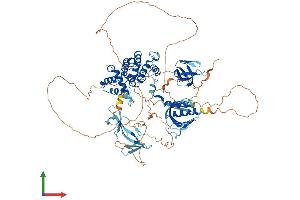Protein Structure (PS) image for rho GTPase Activating Protein 12 (ARHGAP12) (AA 1-838) protein (His tag) (ABIN7559067)