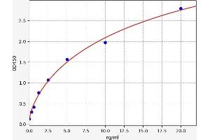 Typical standard curve (UBAP2 ELISA 试剂盒)