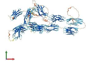 AlphaFold protein structure predicition of Human Recombinant MYBPC3 Protein, UniprotID Q14896