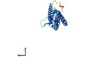Protein Structure (PS) image for Tetraspanin 5 (TSPAN5) (AA 1-268) protein (His tag) (ABIN7544877)