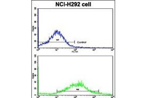 Flow cytometric analysis of NCI-H292 cells using CDH6 Antibody (bottom histogram) compared to a negative control cell (top histogram). (CDH6 抗体  (C-Term))