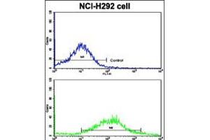 Flow cytometric analysis of NCI-H292 cells using CDH6 Antibody (bottom histogram) compared to a negative control cell (top histogram).
