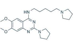 Molecule (M) image for UNC-0379 (ABIN7233304)