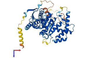 AlphaFold protein structure predicition of Human Recombinant ABHD16B Protein, UniprotID Q9H3Z7