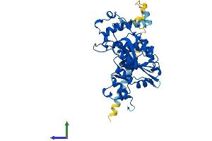 Protein Structure (PS) image for UDP-GlcNAc:BetaGal beta-1,3-N-Acetylglucosaminyltransferase 2 (B3GNT2) (AA 1-397) protein (His tag) (ABIN7556404)
