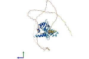 Protein Structure (PS) image for Melanoma Antigen Family B, 6 (MAGEB6) (AA 1-407) protein (His tag) (ABIN7549192)