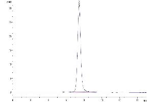 Size-exclusion chromatography-High Pressure Liquid Chromatography (SEC-HPLC) image for CD48 (CD48) (AA 23-216) protein (Fc Tag) (ABIN7275625)