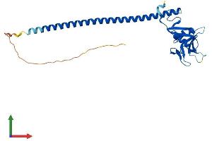 Protein Structure (PS) image for C-Type Lectin Domain Family 1, Member A (CLEC1A) (AA 1-269) protein (His tag) (ABIN7558977)