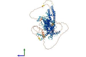 AlphaFold protein structure predicition of Mouse Recombinant Trpc4 Protein, UniprotID Q9QUQ5 (TRPC4 Protein (AA 1-974) (His tag))