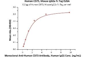 Immobilized Human CD73, Mouse IgG2a Fc Tag (ABIN6973021) at 2 μg/mL (100 μL/well) can bind Monoclonal A CD73 Antibody, Human IgG1 with a linear range of 0.