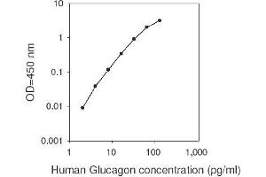 ELISA image for Glucagon (GCG) ELISA Kit (ABIN2703058) (Glucagon ELISA 试剂盒)