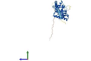 Protein Structure (PS) image for GTPase, IMAP Family Member 2 (GIMAP2) (AA 1-337) protein (His tag) (ABIN7547923)
