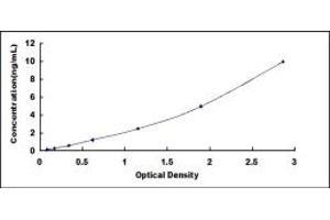 Typical standard curve (RALBP1 ELISA 试剂盒)