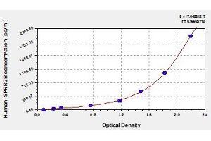Typical standard curve (Small Proline-Rich Protein 2B (SPRR2B) ELISA 试剂盒)
