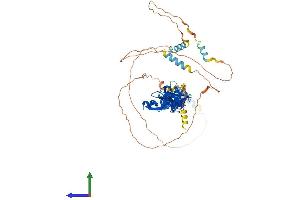 Protein Structure (PS) image for Paxillin (PXN) (AA 1-591) protein (His tag) (ABIN7559946)