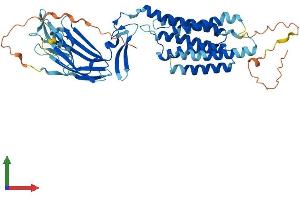 AlphaFold protein structure predicition of Human Recombinant TMEM8B Protein, UniprotID A6NDV4