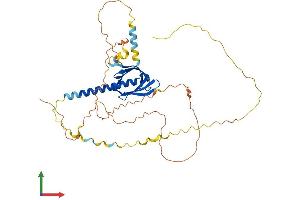 Protein Structure (PS) image for Pleckstrin Homology-Like Domain, Family A, Member 1 (PHLDA1) (AA 1-401) protein (His tag) (ABIN7550754)