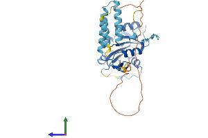 Protein Structure (PS) image for alpha- and gamma-Adaptin Binding Protein (AAGAB) (AA 1-316) protein (His tag) (ABIN7559701)