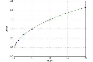 A typical standard curve
