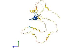 AlphaFold protein structure predicition of Human Recombinant BCL7C Protein, UniprotID Q8WUZ0