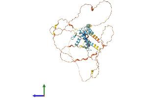 Protein Structure (PS) image for Zinc Finger and SCAN Domain Containing 18 (ZSCAN18) (AA 1-510) protein (His tag) (ABIN7545371)