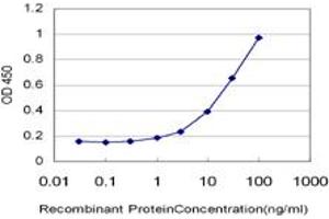 Detection limit for recombinant GST tagged HUNK is approximately 1ng/ml as a capture antibody. (HUNK 抗体  (AA 615-714))