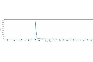 The purity of Anti- Human CLDN18. (Recombinant CLDN18.2 (Zolbetuximab Biosimilar) 抗体)