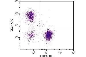 BALB/c mouse splenocytes were stained with Hamster Anti-Mouse CD3ε-APC. (CD3 epsilon 抗体  (APC))