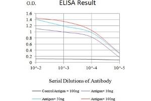 Black line: Control Antigen (100 ng),Purple line: Antigen (10 ng), Blue line: Antigen (50 ng), Red line:Antigen (100 ng) (Gelsolin 抗体)