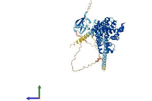 Protein Structure (PS) image for phosphodiesterase 9A (PDE9A) (AA 1-593) protein (His tag) (ABIN7554906)