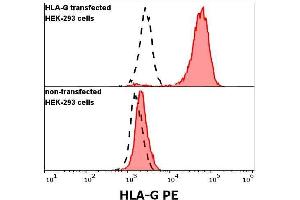 anti-HLA Class I Histocompatibility Antigen, alpha Chain G (HLAG) (C-Term) antibody (PE)