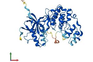 Protein Structure (PS) image for Mitogen-Activated Protein Kinase 11 (MAPK11) (AA 1-364) protein (His tag) (ABIN7554573)