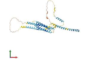 AlphaFold protein structure predicition of Mouse Recombinant Stx5 Protein, UniprotID Q8K1E0
