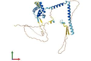 Protein Structure (PS) image for Translocation Protein 1 (TLOC1) (AA 1-398) protein (His tag) (ABIN7558894)