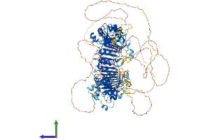 AlphaFold protein structure predicition of Mouse Recombinant Fbxo38 Protein, UniprotID Q8BMI0 (FBXO38 Protein (AA 1-1194) (His tag))