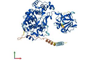Protein Structure (PS) image for UDP-N-Acetyl-alpha-D-Galactosamine:polypeptide N-Acetylgalactosaminyltransferase-Like 6 (GALNTL6) (AA 1-601) protein (His tag) (ABIN7548015)
