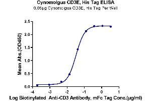 Immobilized Cynomolgus CD3E, His Tag at 0. (CD3 epsilon Protein (CD3E) (His tag))