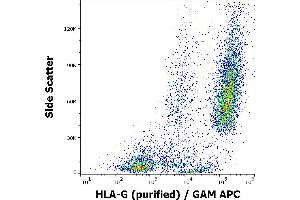 Flow cytometry surface staining pattern of HLA-G transfected LCL cells using anti-human HLA-G (01G) purified antibody (concentration in sample 16 μg/mL) GAM APC. (HLAG 抗体)