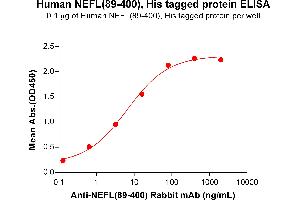 ELISA image for Neurofilament, Light Polypeptide (NEFL) (AA 89-400) protein (His tag) (ABIN7092803)