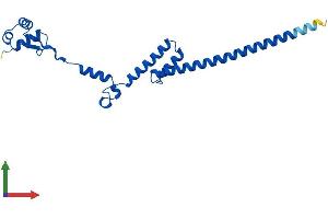 Protein Structure (PS) image for Ribosomal Protein L19 (RPL19) (AA 1-196) protein (His tag) (ABIN7556760)