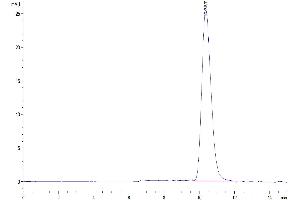 Size-exclusion chromatography-High Pressure Liquid Chromatography (SEC-HPLC) image for Fc Fragment of IgG, Low Affinity IIIb, Receptor (CD16b) (FCGR3B) (AA 17-200) protein (His tag) (ABIN7274593)