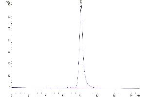 Size-exclusion chromatography-High Pressure Liquid Chromatography (SEC-HPLC) image for C-Type Lectin Domain Family 4, Member A (CLEC4A) (AA 70-237) protein (Fc Tag) (ABIN7274354)
