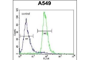 Flow Cytometry (FACS) image for anti-Arachidonate 12-Lipoxygenase, 12R Type (ALOX12B) (AA 622-652), (C-Term) antibody (ABIN654058)