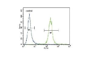 IREB2 Antibody (Center) (ABIN656586 and ABIN2845848) flow cytometric analysis of Hela cells (right histogram) compared to a negative control cell (left histogram). (IREB2 抗体  (AA 201-230))