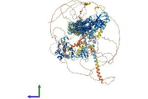 Protein Structure (PS) image for Mitogen-Activated Protein Kinase Kinase Kinase 4 (MAP3K4) (AA 1-1608) protein (His tag) (ABIN7554437)