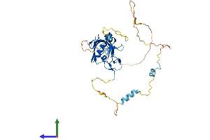 Protein Structure (PS) image for PDZ and LIM Domain 4 (PDLIM4) (AA 1-330) protein (His tag) (ABIN7550607)